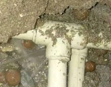 清苑区测漏水多少钱