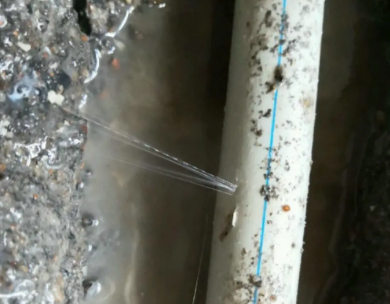 清苑区测漏水哪家好