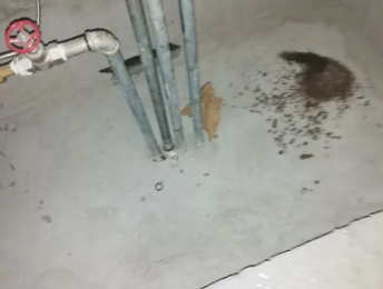 清苑区卫生间测漏水价格明细